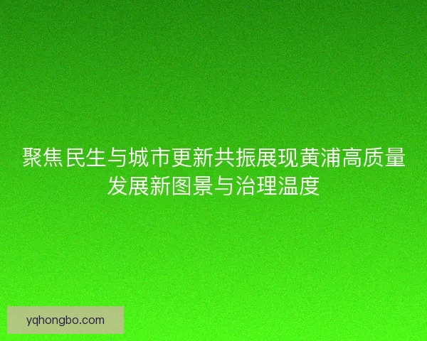聚焦民生与城市更新共振展现黄浦高质量发展新图景与治理温度